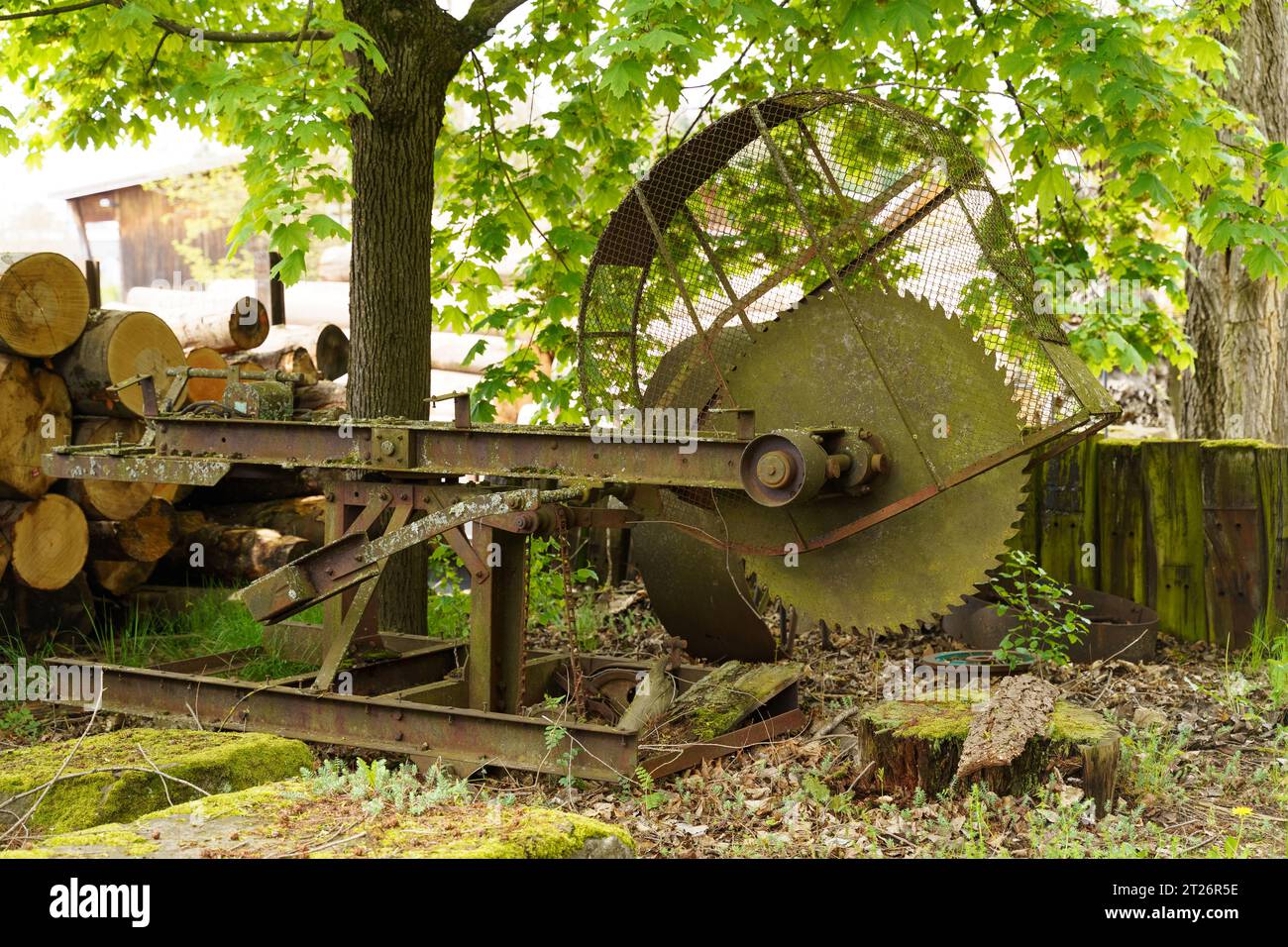 Une vieille scie circulaire rouillée et verdâtre dans une usine de menuiserie. Histoire du travail du bois. Banque D'Images
