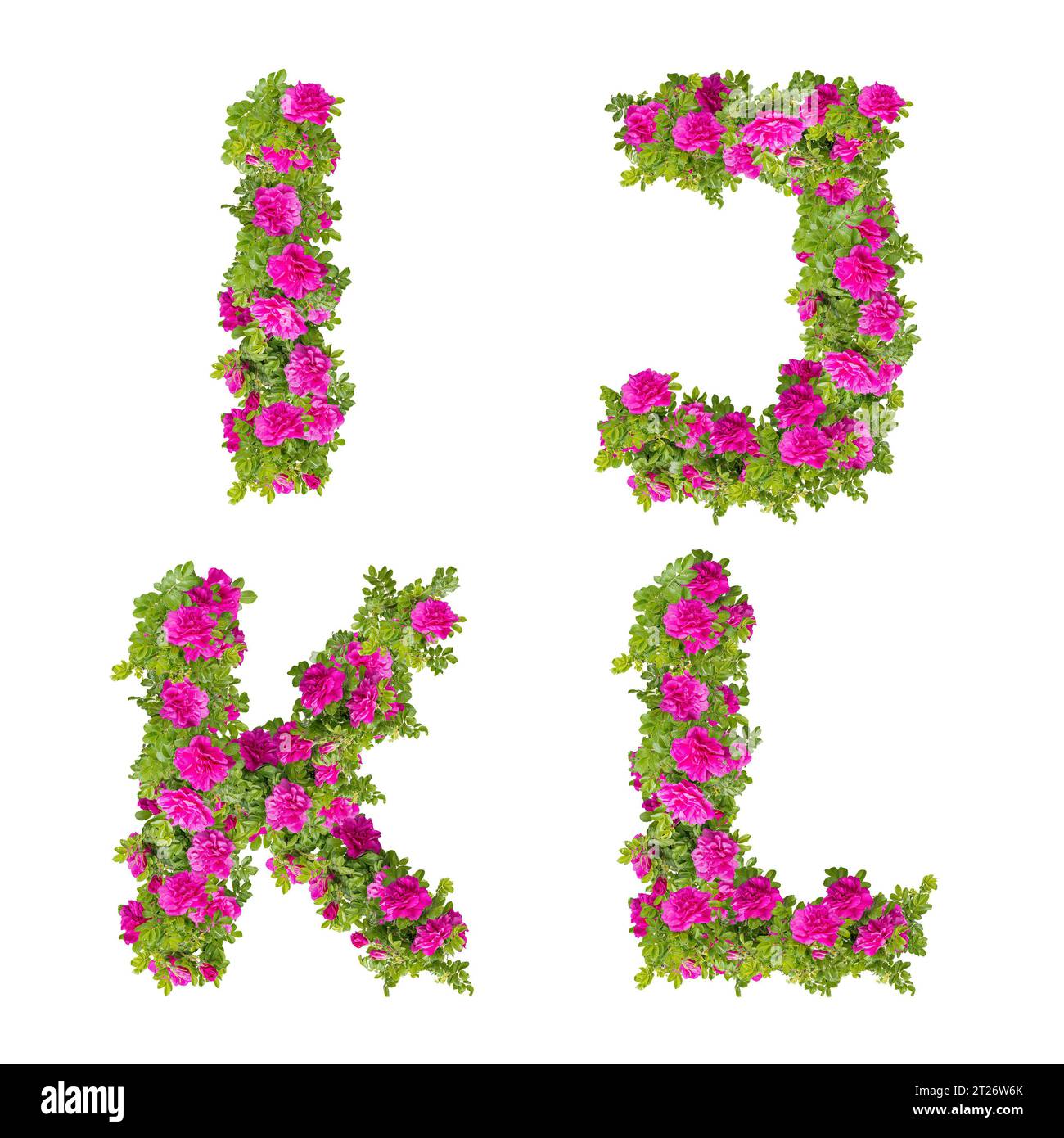 Illustration 3D de fleurs roses sauvages alphabet - lettres I-L. Banque D'Images