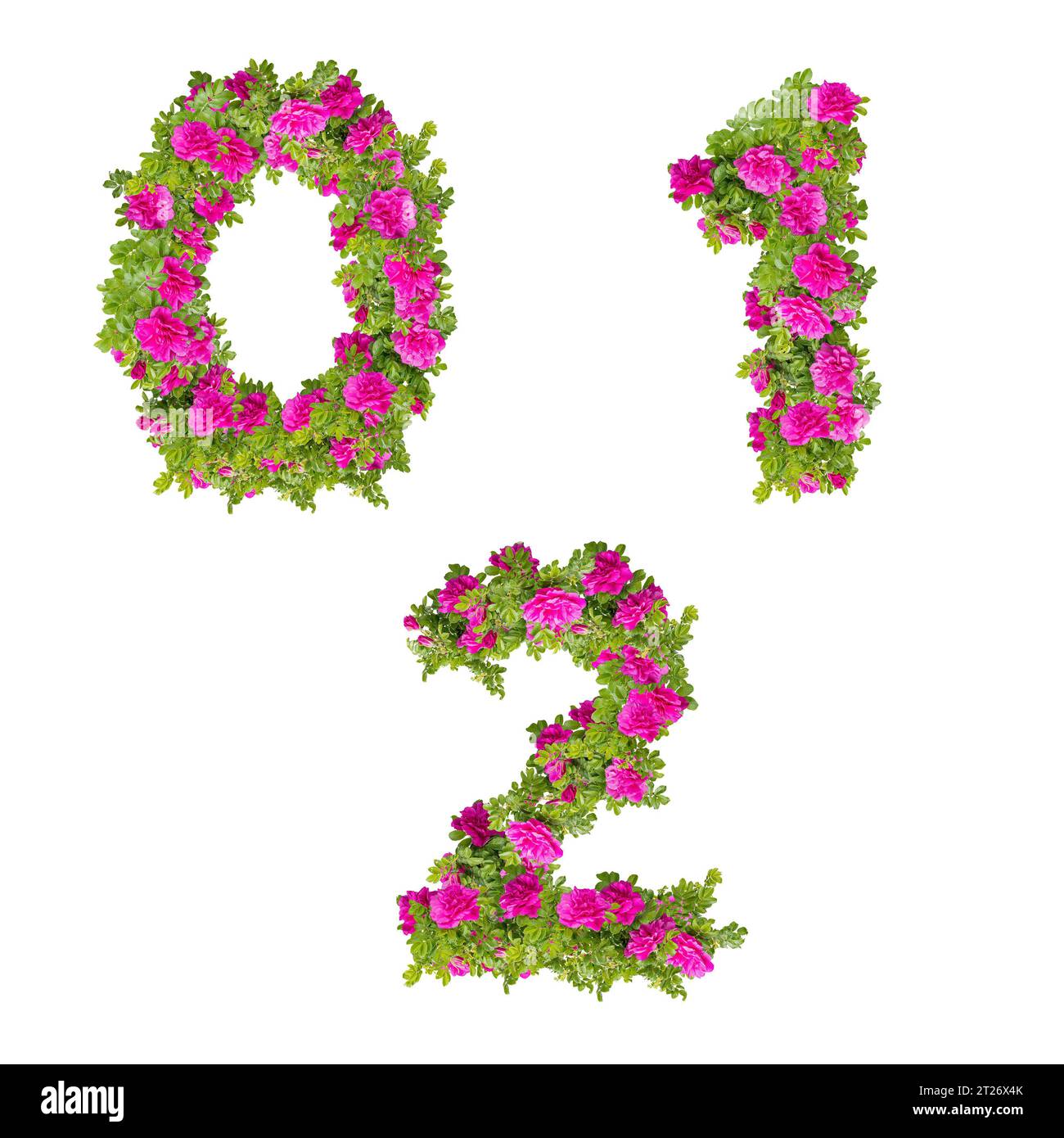 Illustration 3D de fleurs roses sauvages alphabet - chiffres 0-2 Banque D'Images