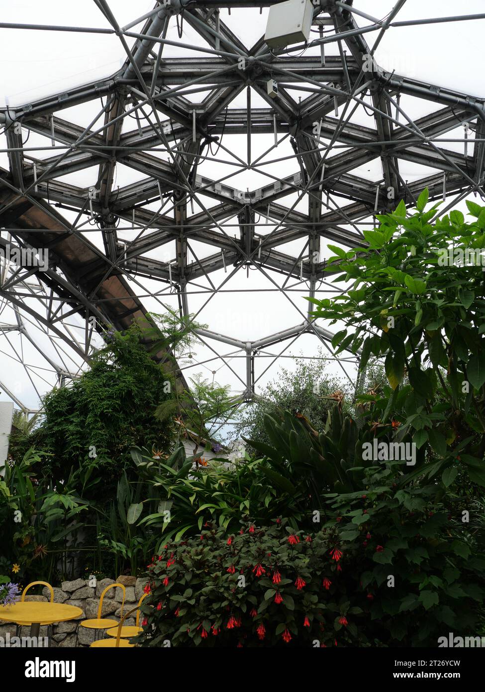 Vue sur le dôme de forêt tropicale de l'Eden Project, Bodelva, St Austell, Cornouailles, Angleterre Banque D'Images