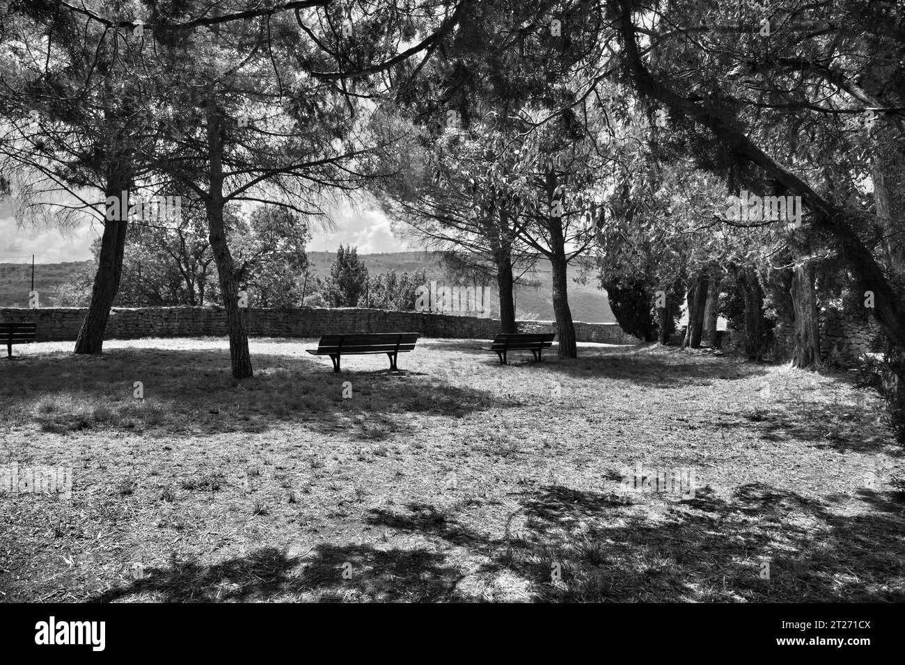 un magnifique parc au-dessus de bonnieux Banque D'Images