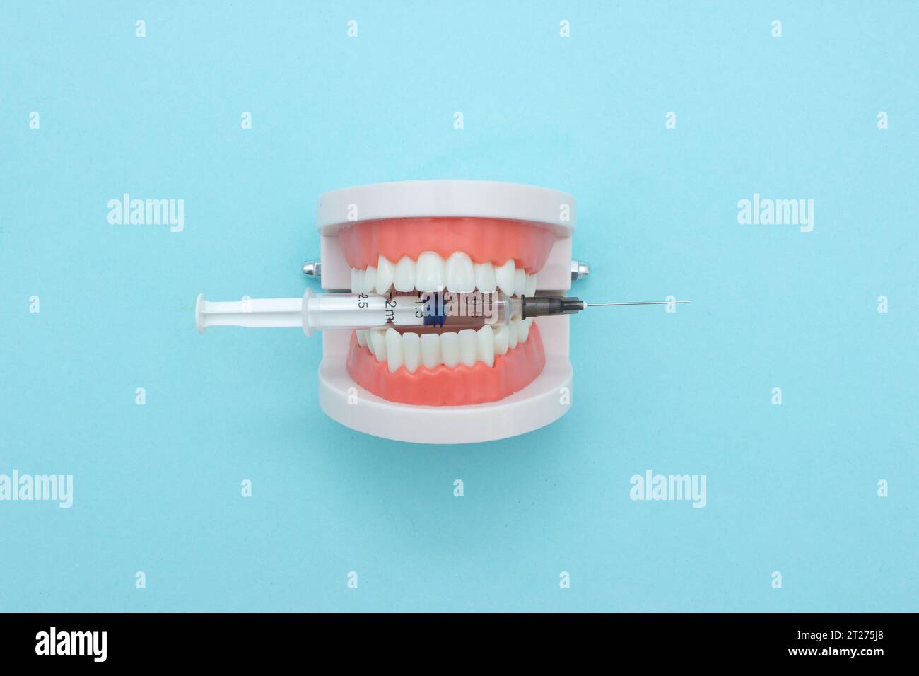 Dents dentaires le modèle dentiers tient une seringue en plastique jetable pour dentiste. Thème dentaire orthodontique. Concept de soins dentaires Banque D'Images