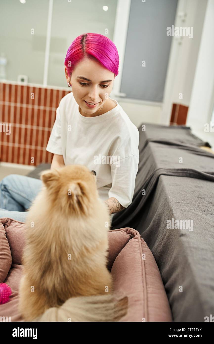 travailleur souriant d'hôtel d'animal de compagnie regardant doggy moelleux dans l'hôtel accueillant d'animal de compagnie, les soins et l'affection Banque D'Images
