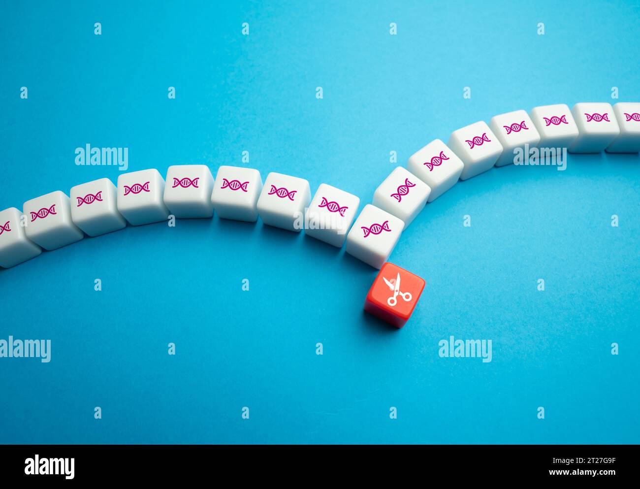 Edition de chaînes d'ADN, concept. Modification du génome. Thérapie génique. Sélection de nouvelles plantes et animaux. Amélioration de la qualité et de la productivité de Banque D'Images