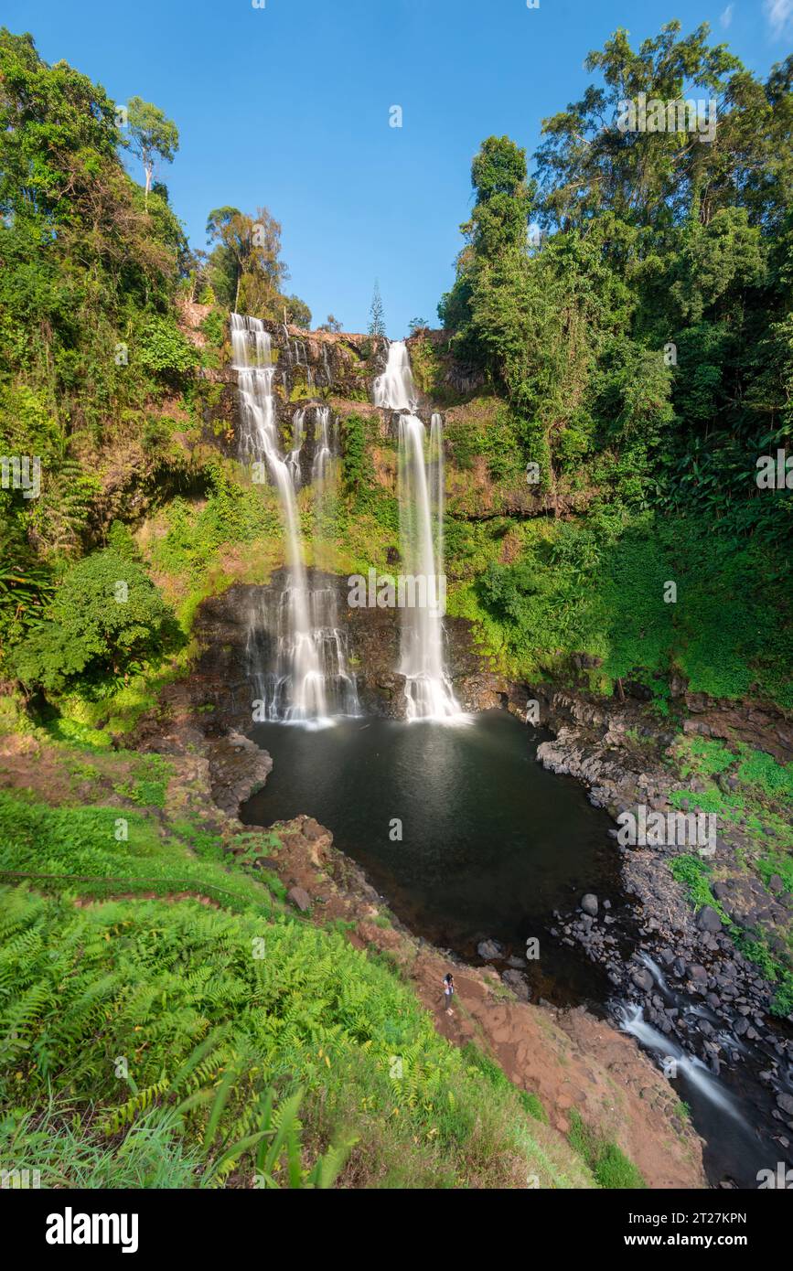 40m de haut, cascade pittoresque entouré par la belle forêt tropicale et la nature, dans la région de Pakse au sud du Laos, dans le district de Paksong. Banque D'Images