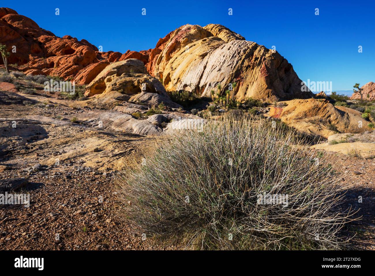 Rock Prominence dans Gold Butte National Monument, Nevada, États-Unis. Banque D'Images