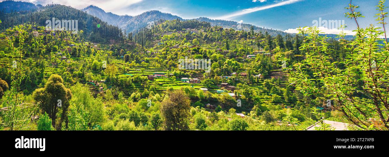 Vallée verdoyante en terrasses à Jibhi, Himachal Pradesh Banque D'Images