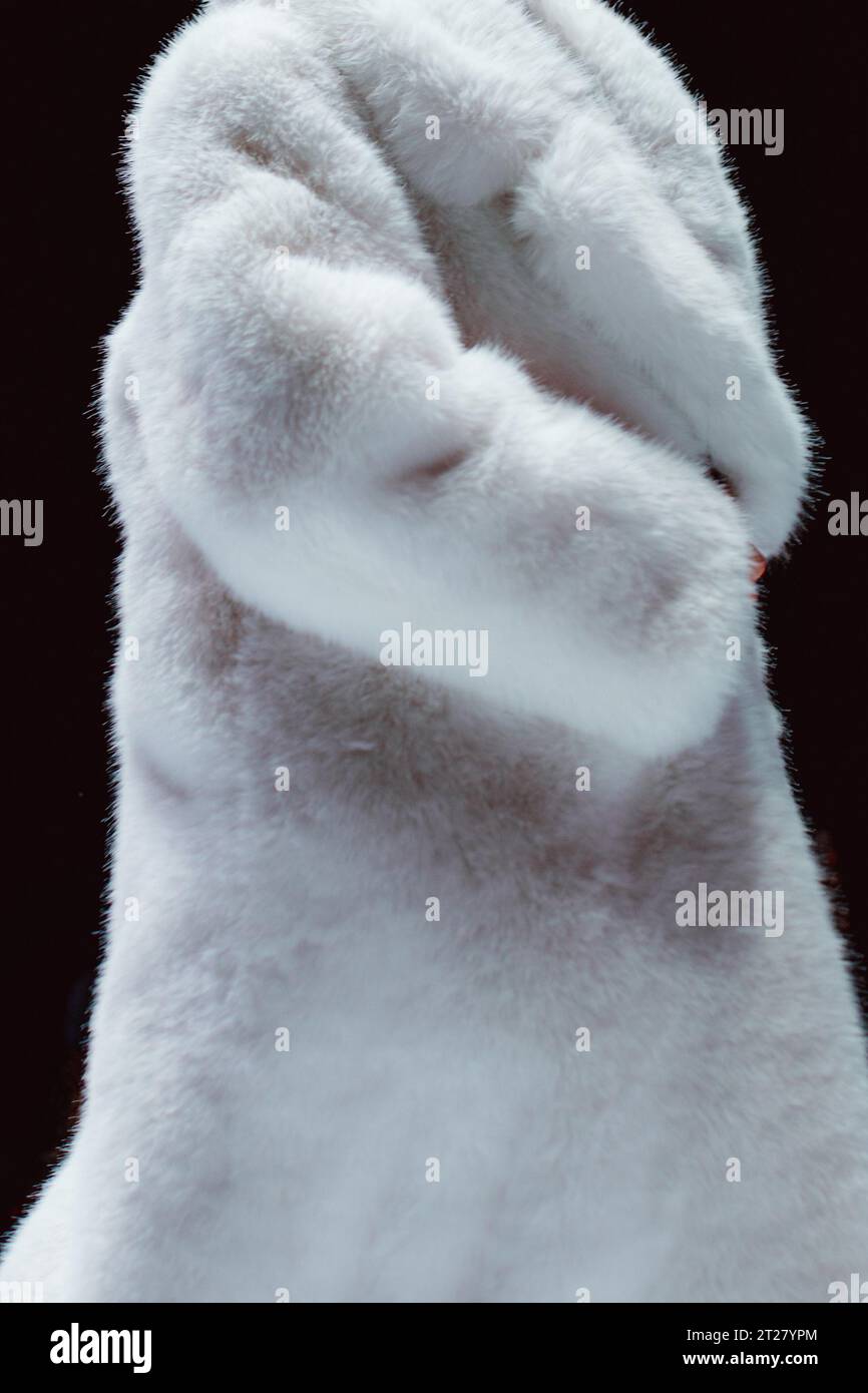 Gros plan des détails de mode d'un manteau blanc pelucheux en fourrure d'hiver. Modèle de mode marchant sur fond noir Banque D'Images