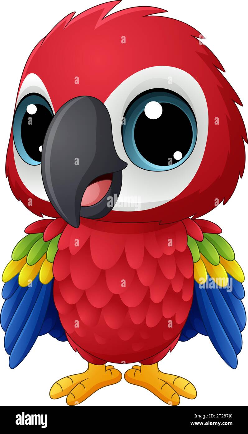 Macaw bébé de dessin animé sur fond blanc Illustration de Vecteur