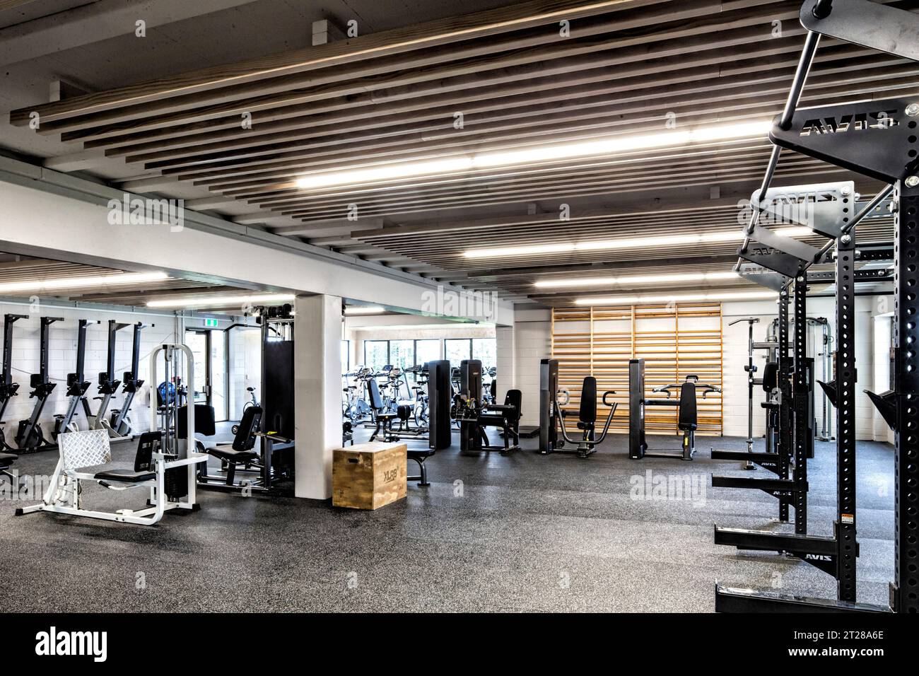 Vue générale d'un équipement dans un gymnase Banque D'Images