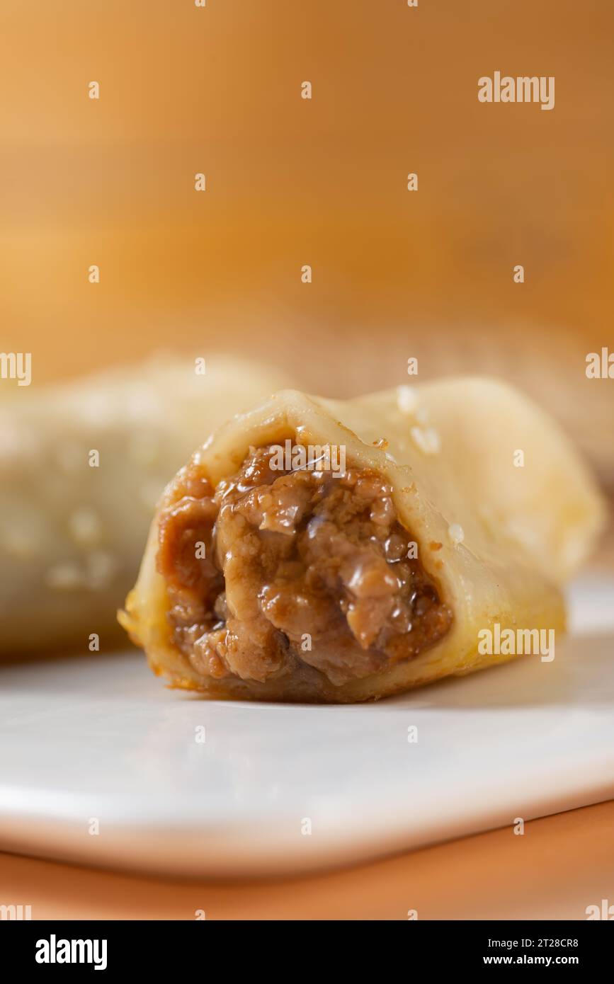 Boulettes de viande chinoise à la poêle, Gyoza (boulettes grillées de style japonais) Banque D'Images