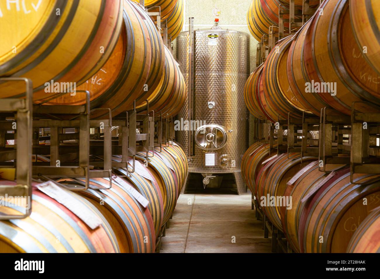Ensemble De Boucles D'oreilles Studex Avec Pierres De Naissance - Or Plaqué Sur Acier Chirurgical - 10mm, Fermoir Papillon