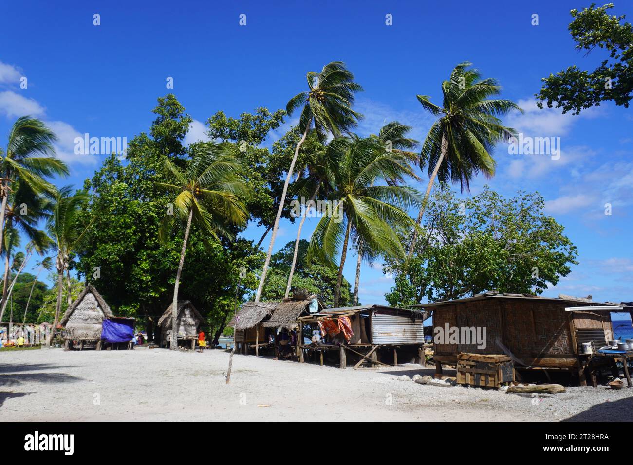 Maisons insulaires sous les palmiers balançants sur l'île de Kiriwina, PNG Banque D'Images