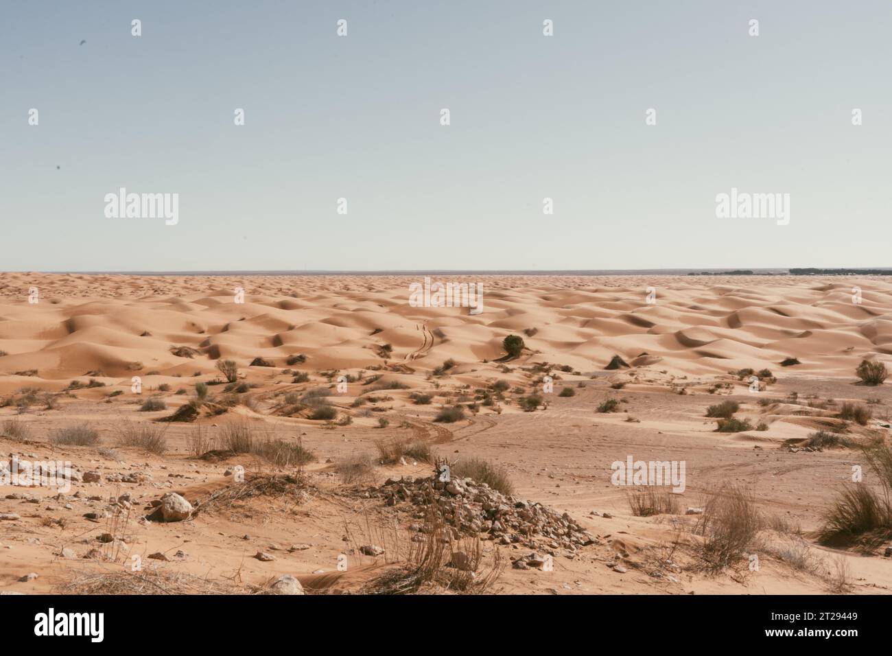 Sahara Desert Dunes - Trail à travers le désert Banque D'Images
