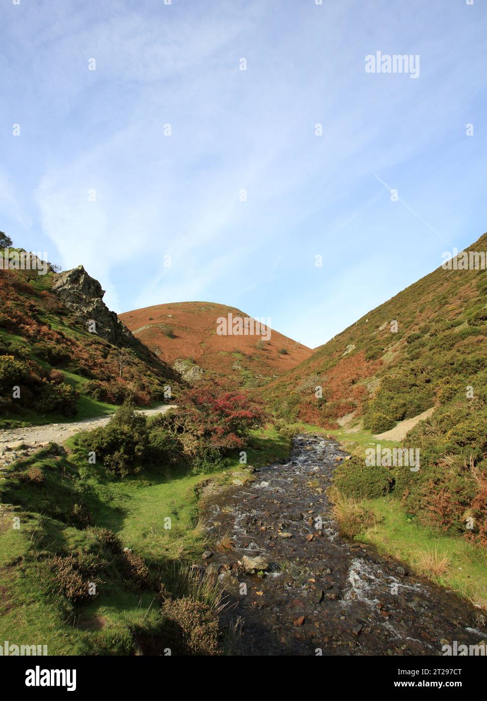Admirez la vallée du moulin de Carding, Church Stretton, Shropshire, Angleterre, Royaume-Uni. Banque D'Images