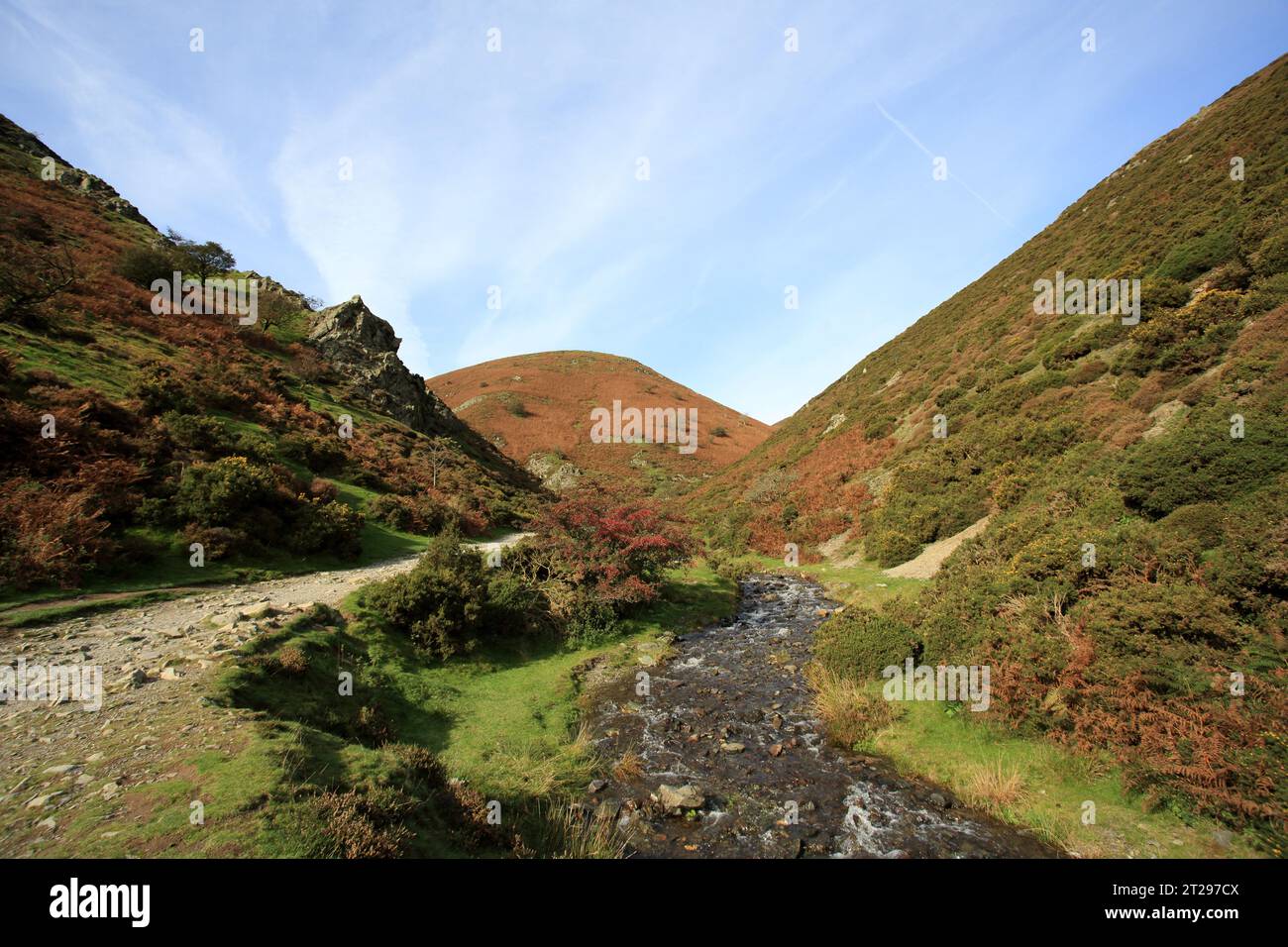 Admirez la vallée du moulin de Carding, Church Stretton, Shropshire, Angleterre, Royaume-Uni. Banque D'Images