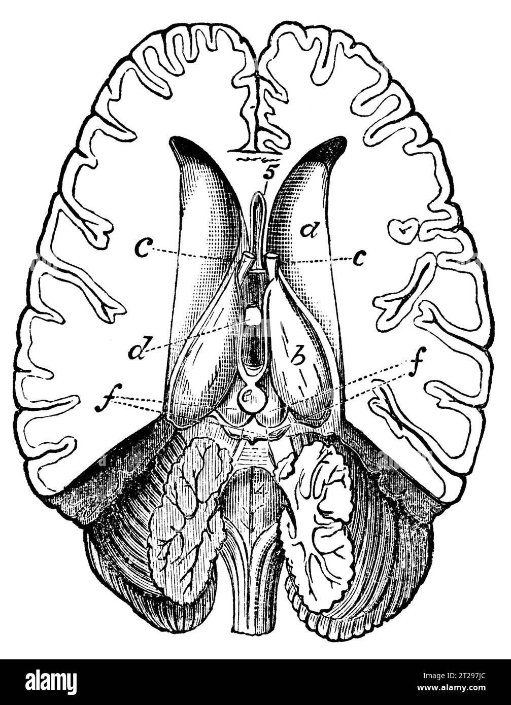 Illustration restaurée numériquement de 'The Condensed American Encyclopedia', publiée au 19e siècle. Banque D'Images