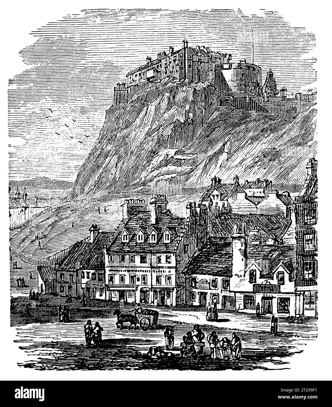 Restauré numériquement à partir de 'The Condensed American Encyclopedia' publié en 1882. Banque D'Images