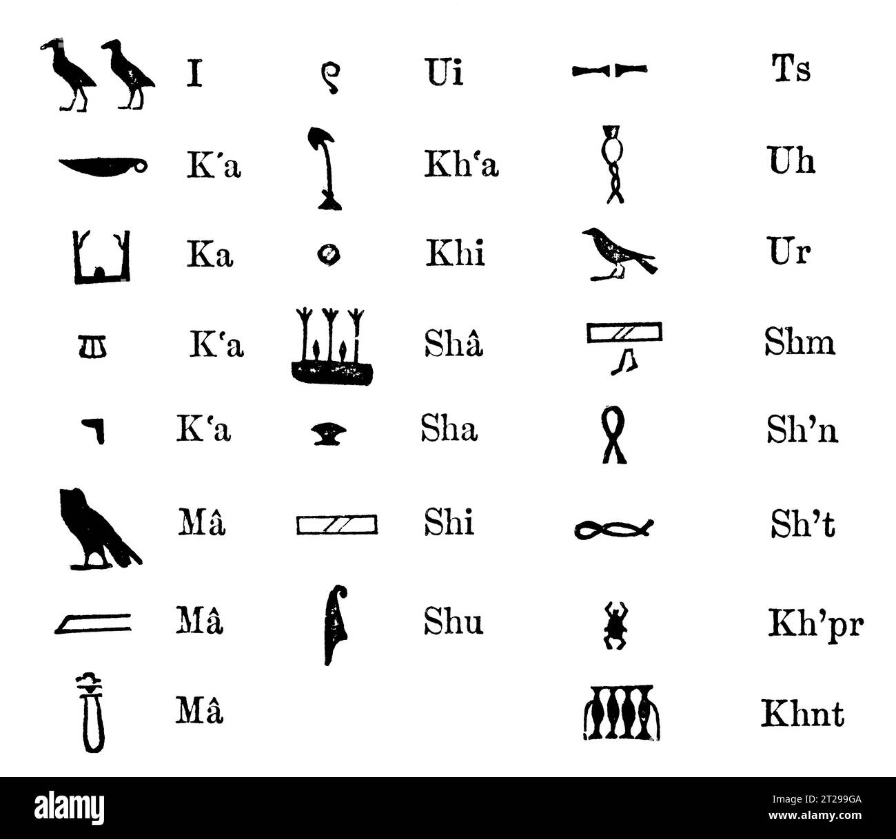 Restauré numériquement à partir de 'The Condensed American Encyclopedia' publié en 1882. Banque D'Images