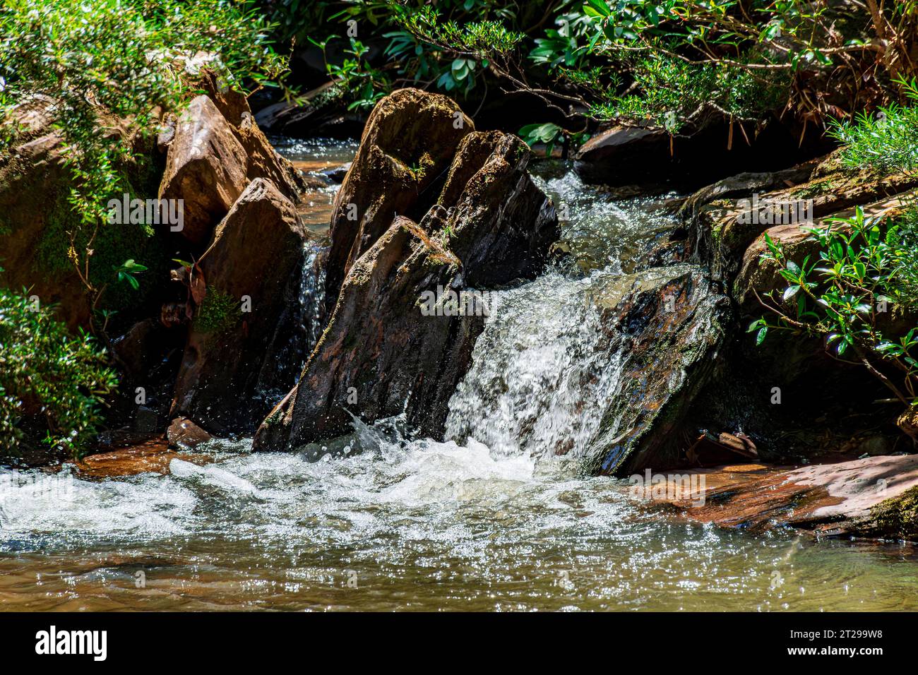 Rivière traversant la forêt parmi les rochers et la végétation dans l'état de Minas Gerais, Brésil Banque D'Images