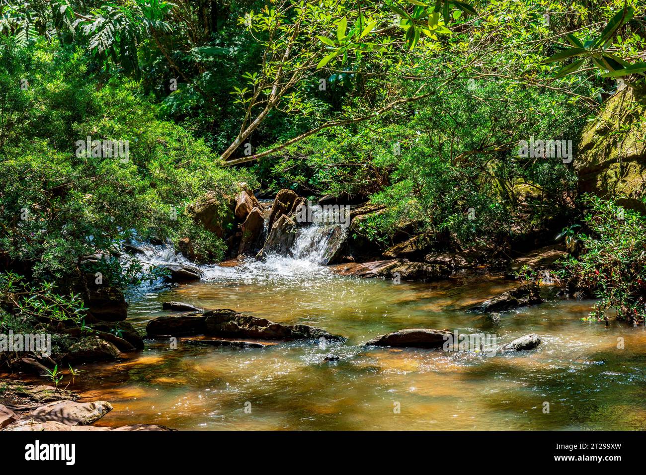 Petite rivière qui traverse la forêt parmi les rochers et la végétation dans l'état de Minas Gerais, Brésil Banque D'Images