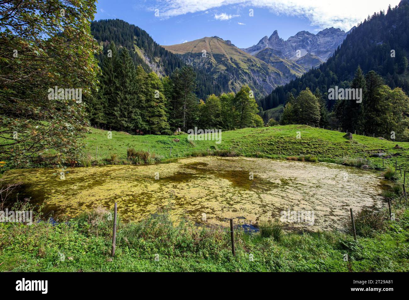 Vue de la vallée de Rappenalp à Trettachspitze et Maedelegabel, Alpes Allgaeu, Oberstdorf, Haut Allgaeu, Allgaeu, Bavière, Allemagne Banque D'Images