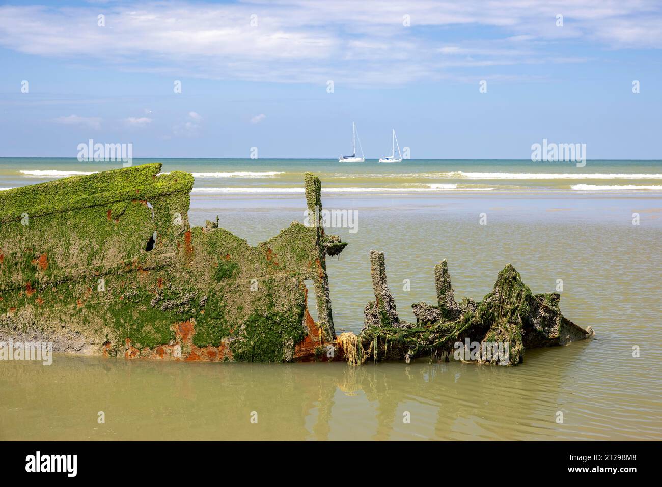 Vieux naufrage Claude London sur la côte, Plage de Bray Dunes, Dunkerque, Flandre, France Banque D'Images