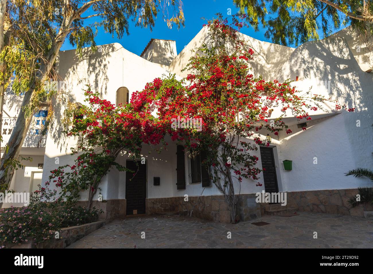 Belles maisons avec des fleurs à San Jose dans la ville de Nijar, Almeria. Côte andalouse à Cabo de Gata. Espagne Banque D'Images