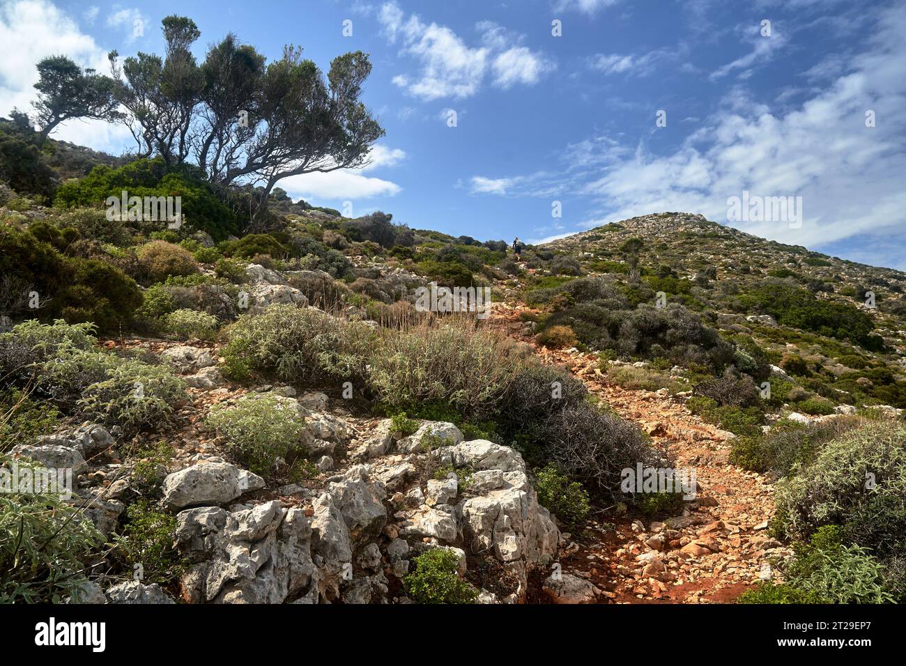 Randonneur sur le sentier de montagne sur la péninsule d'Akrotiri sur l'île de Crète, Grèce Banque D'Images