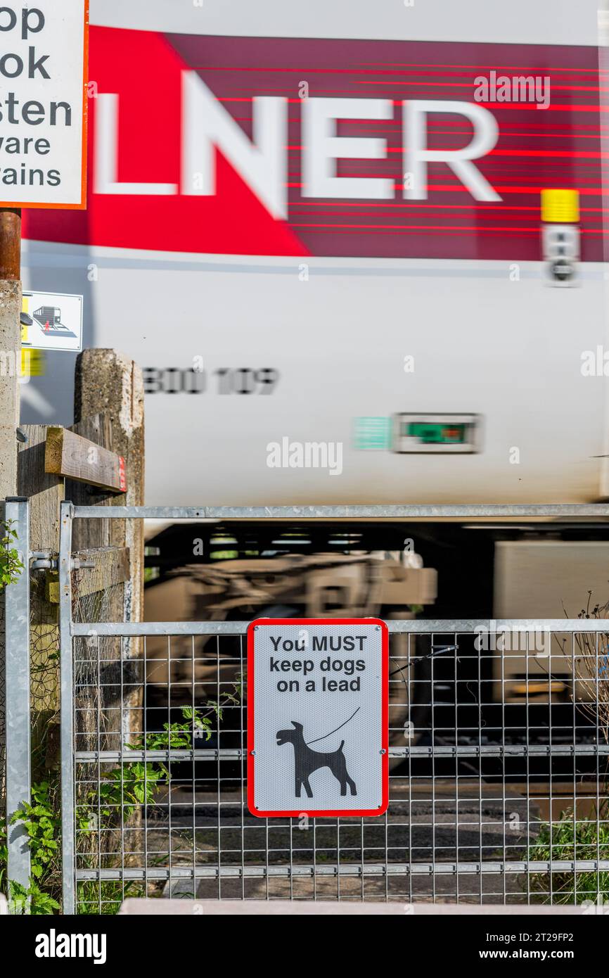 Vous devez garder les chiens sur une laisse, panneaux d'avertissement au passage à niveau sur la ligne principale de la côte est. Banque D'Images