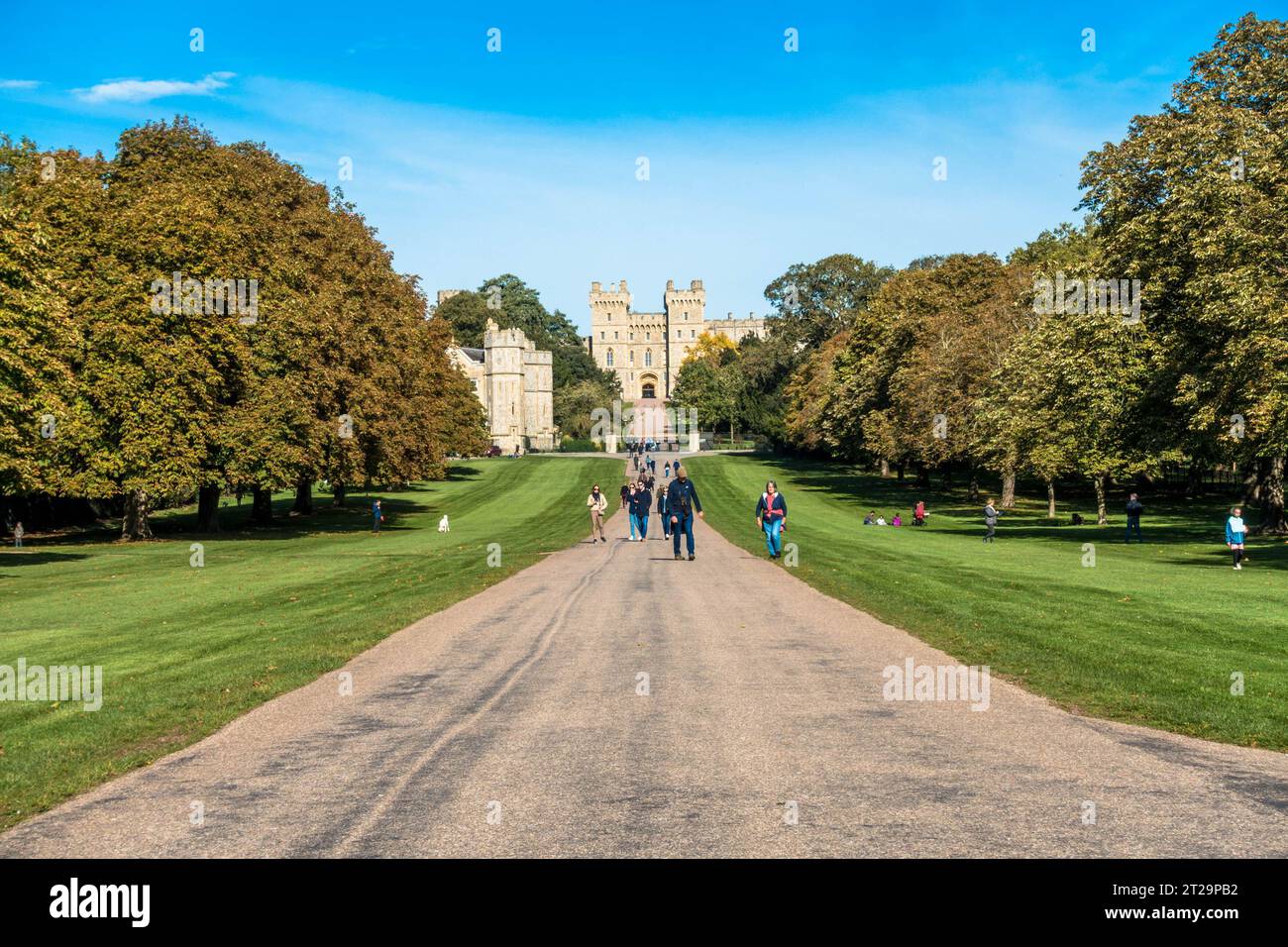 Une vue sur le Windsor long Walk vers le château de Windsor, un chemin bordé d'arbres à travers un parc verdoyant. Banque D'Images