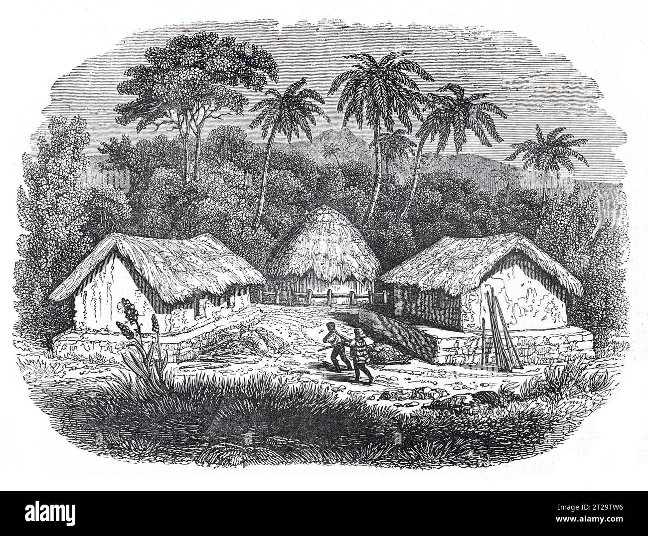 Cabanes dans un village cingalais, Ceylan milieu du 19e siècle (aujourd'hui Sri Lanka). Illustration en noir et blanc de la 'Vieille Angleterre' publiée par James Sangster en 1860. Banque D'Images