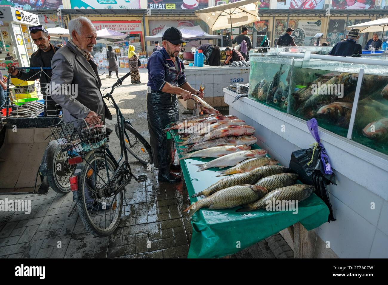 Fergana, Ouzbékistan - 18 octobre 2023 : un vendeur de poisson au marché de la ville de Fergana, Ouzbékistan. Banque D'Images