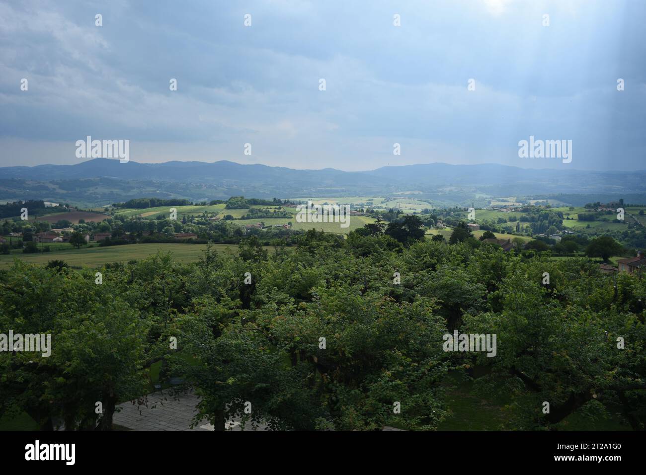La pluie grouille et la lumière tamisée, regardant à travers le verger de cerisiers dans la vallée verdoyante, les terres agricoles et les collines ondulantes, le Bois-d'Oingt, France Banque D'Images