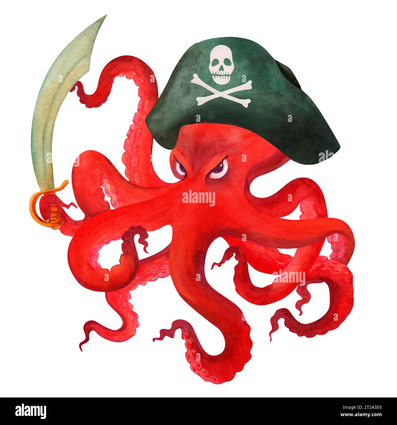 Une pieuvre de dessin animé rouge en colère dans un chapeau de pirate, avec sabre dans un tentacule regarde de sous ses sourcils le spectateur. Illustration d'aquarelle isolée. Banque D'Images