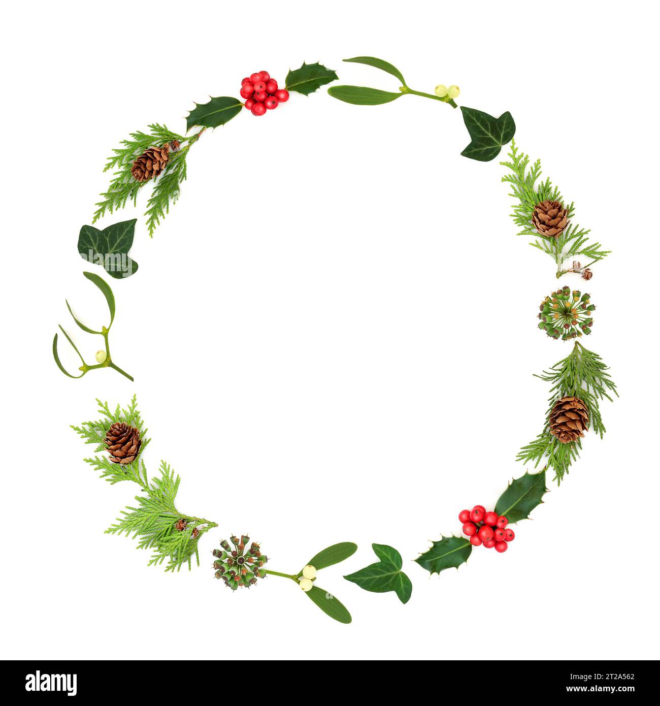 Couronne de baies de houx de Noël et de verdure d'hiver sur fond blanc. Décoration de nature traditionnelle festive pour carte de voeux, logo, menu, invitation, Banque D'Images