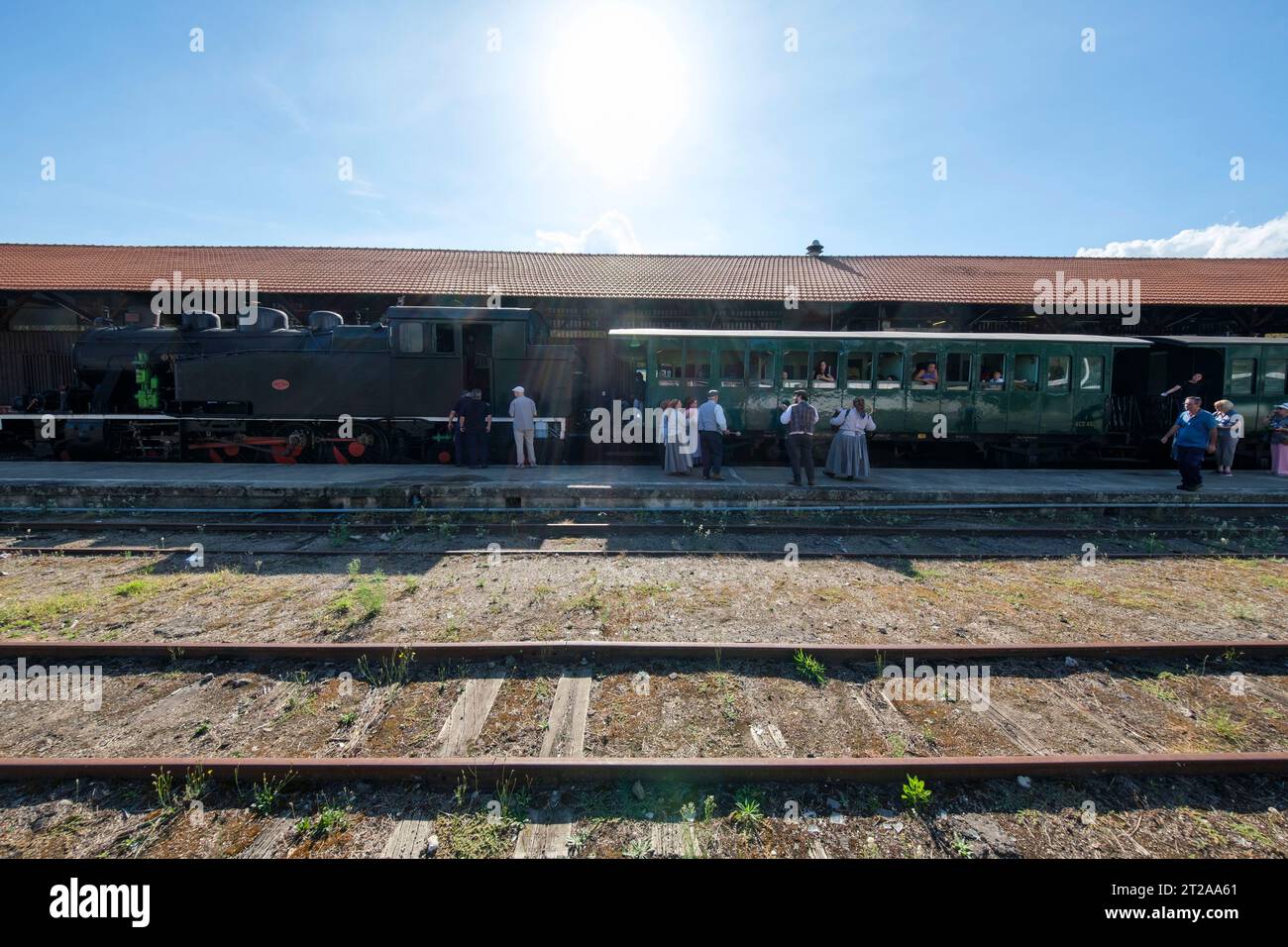 Train historique du Douro circulant entre Régua et Tua en suivant le fleuve Douro, Portugal, Europe Banque D'Images