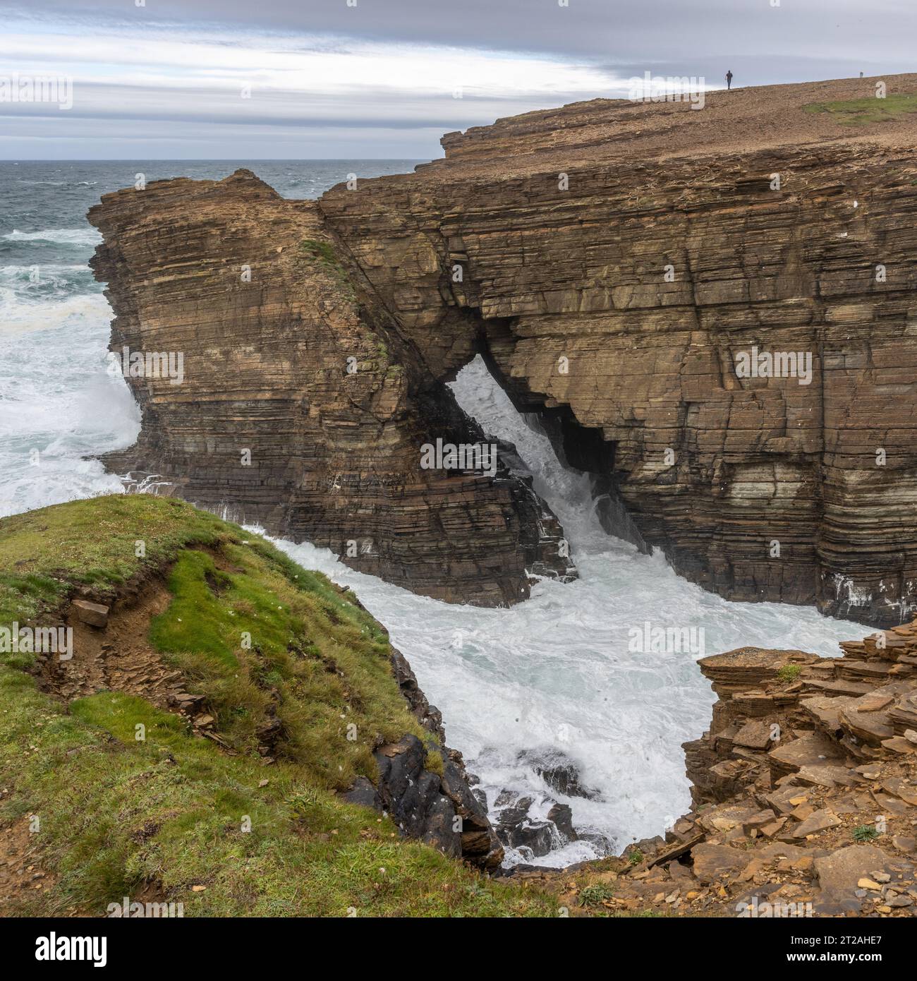 Mers rugueuses et arche de mer, falaises de Yesnaby, Mainland, îles Orcades, Écosse, ROYAUME-UNI Banque D'Images