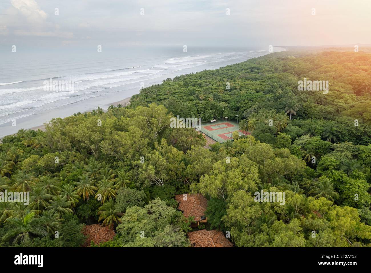 Court de tennis à côté de la plage autour des palmiers vue aérienne drone Banque D'Images