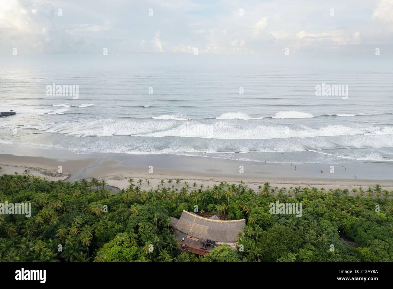 Côte de mer avec plage de sable et palmiers vue aérienne drone Banque D'Images