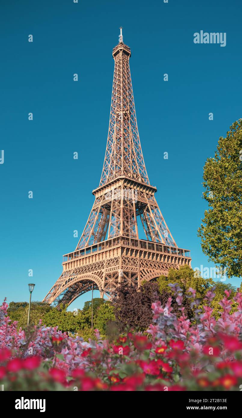 Tour Eiffel, Paris, France, Europe végétation printanière en façade, idéal pour les cadres et la décoration Banque D'Images