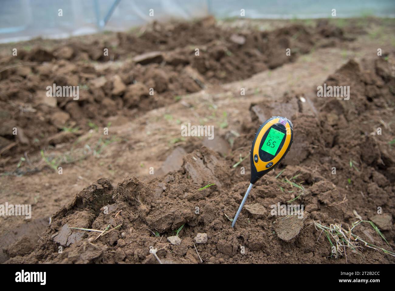PH-mètre de sol Utilisation pour vérifier la valeur du PH Banque D'Images