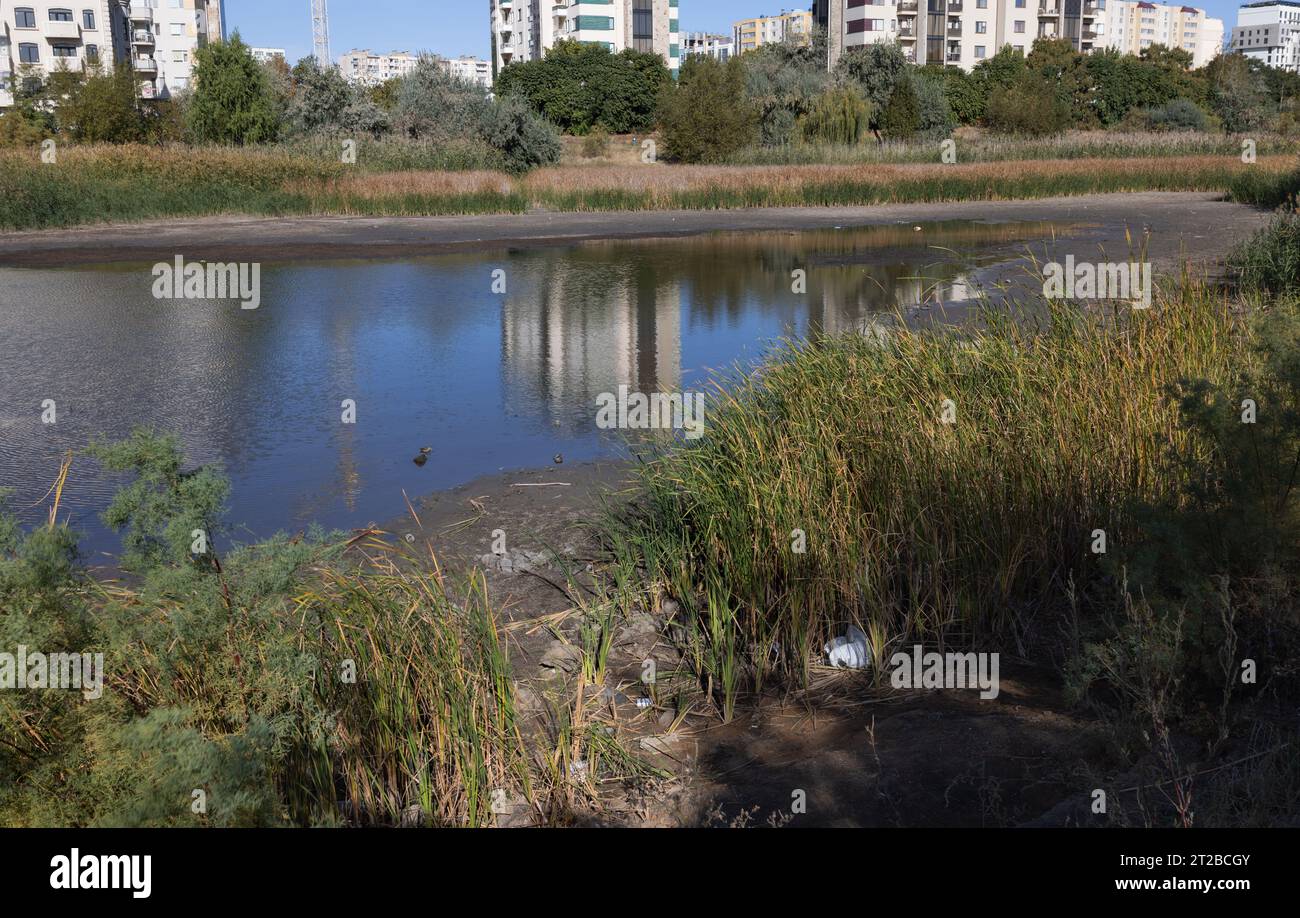 Lac sec, sol fissuré sec. Les vestiges, la dernière goutte d'eau, d'un lac marécageux presque sec dans un parc de la ville. Problèmes environnementaux, réchauffement climatique, l Banque D'Images