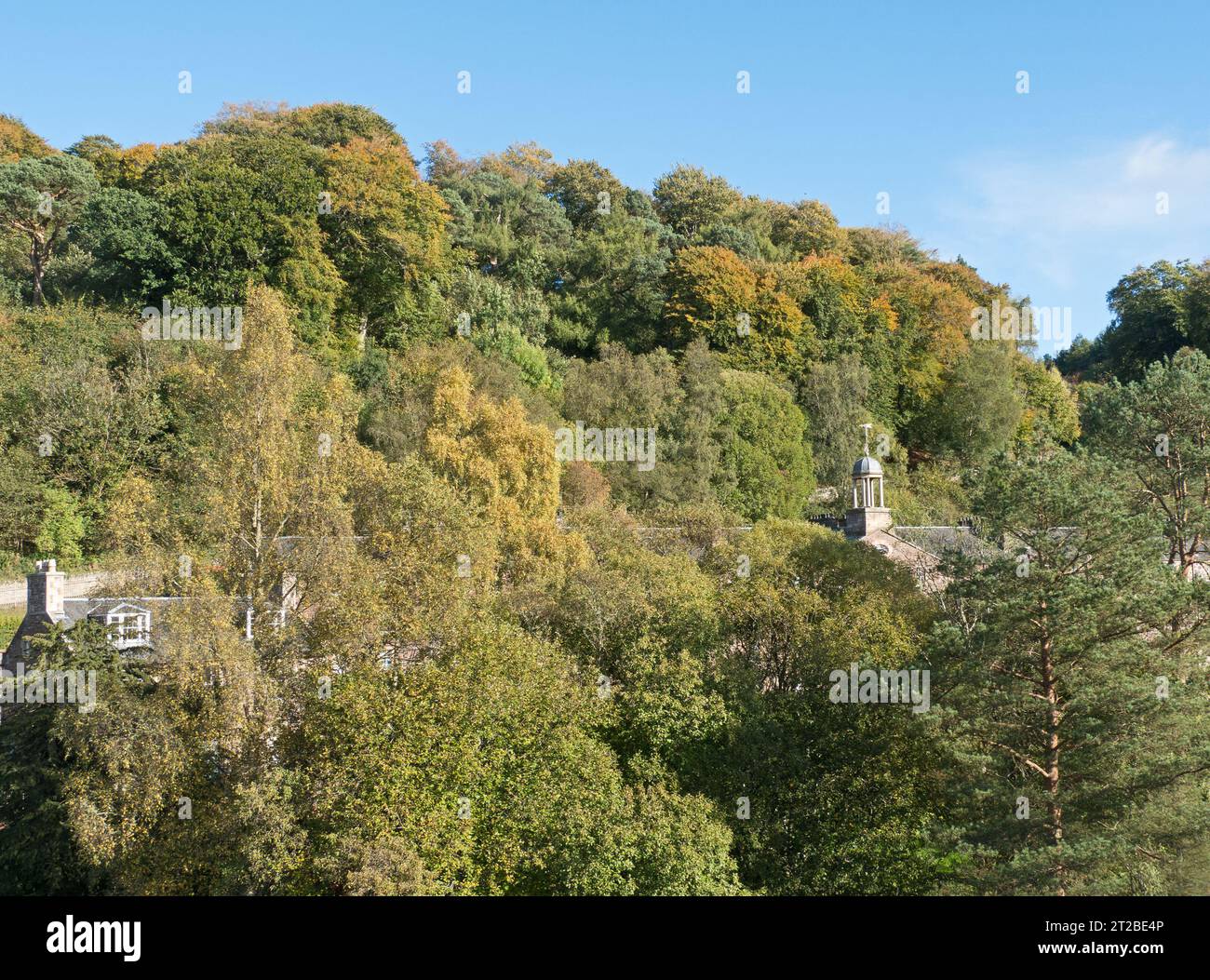 Nouveau Lanarkk vu à travers les arbres vu du jardin sur le toit Banque D'Images