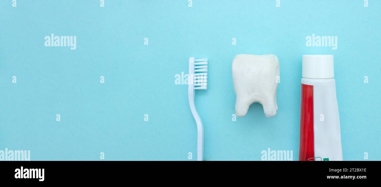 Gros plan d'une brosse à dents et d'un dentifrice avec un modèle de dent molaire blanche sur fond bleu flou. Moyens pour soigner la cavité buccale Banque D'Images