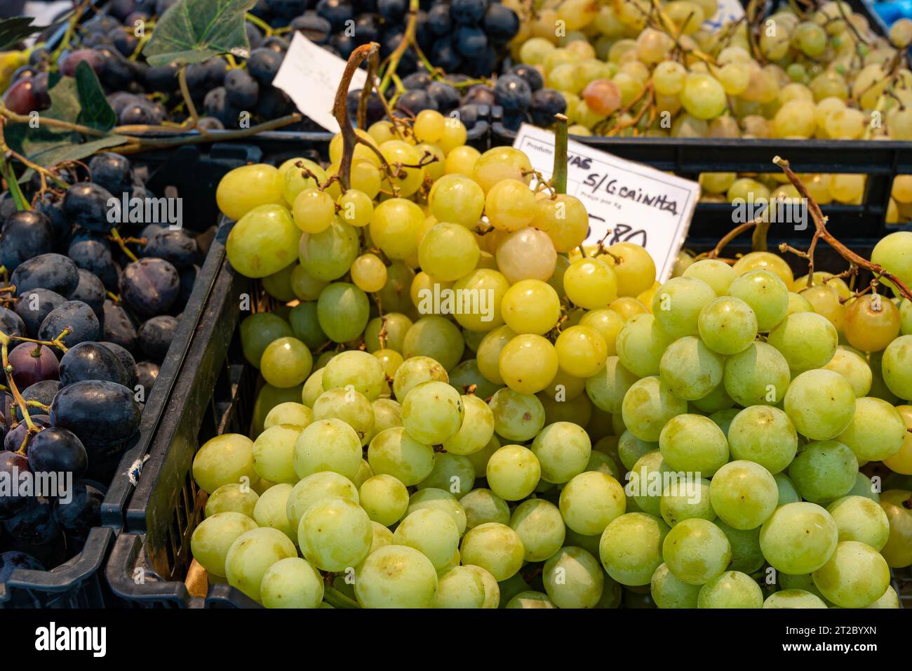Exposition de raisins frais verts et noirs dans un marché local à Porto, Portugal Banque D'Images