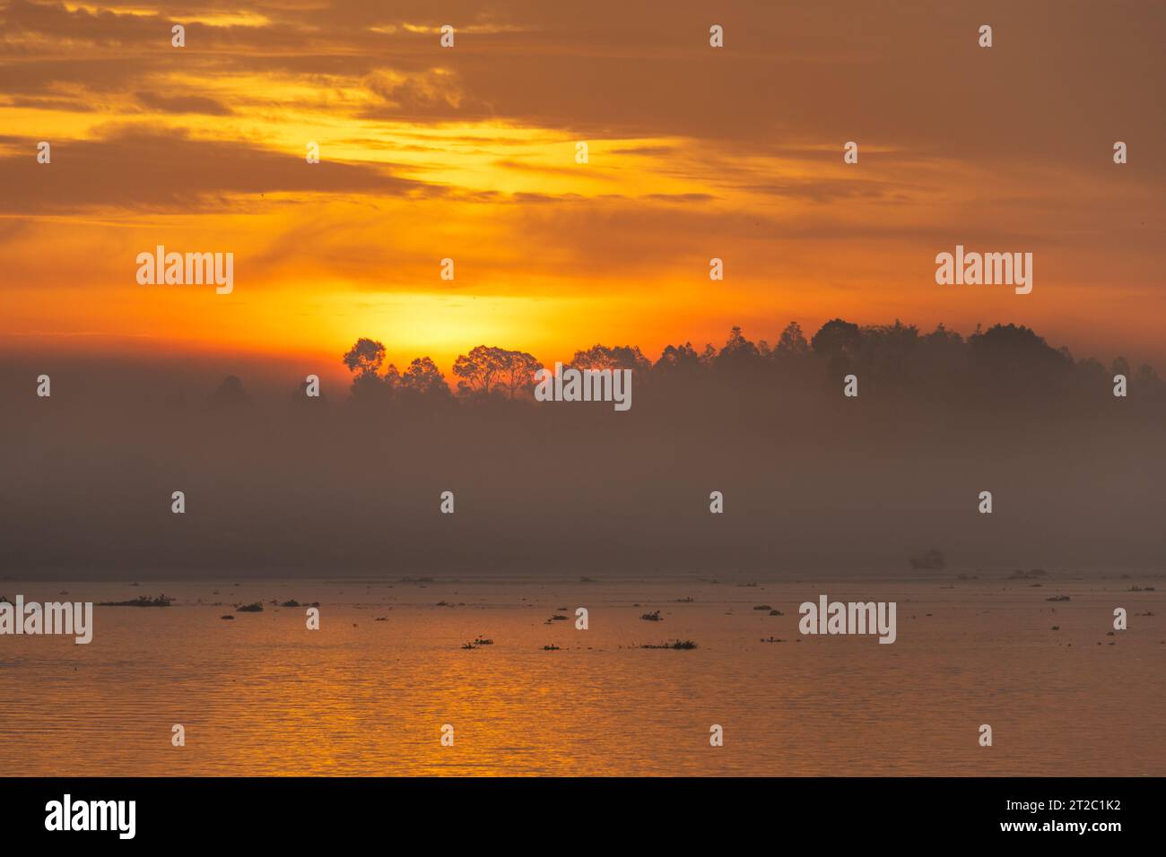 Lever de soleil sur le delta du Mékong Banque D'Images