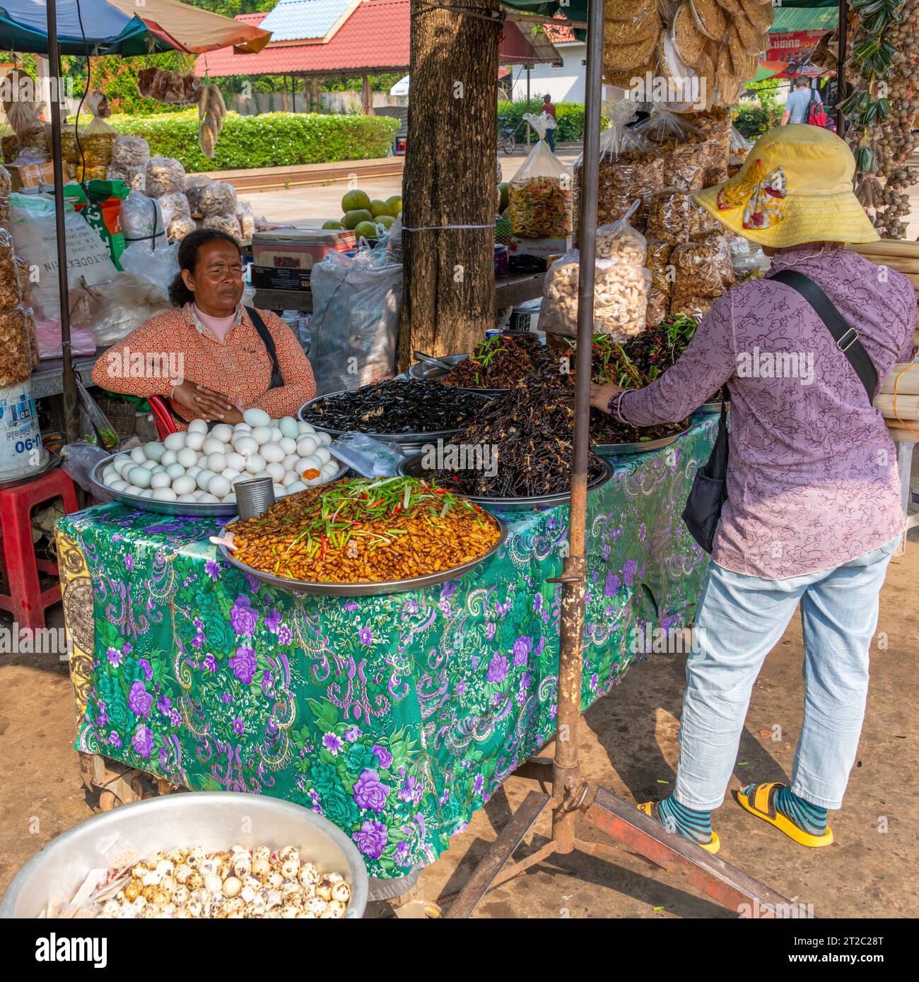 Spider Market à Skun, Cambodge Banque D'Images