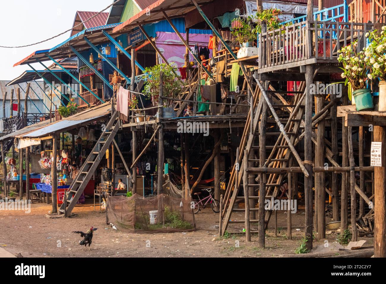 Village Life at Kampong Phluk Floating Village, Lake Tonle SAP, Siem Reap, Cambodge Banque D'Images