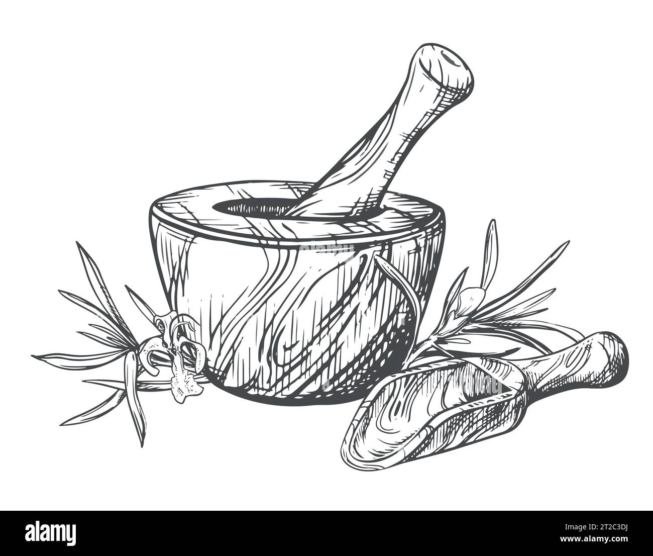 Romarin, mortier en bois pour moudre les herbes, cuillère à mesurer. Illustration vectorielle d'herbes aromatiques, d'épices. Croquis à la main en technique de gravure. Separa Illustration de Vecteur